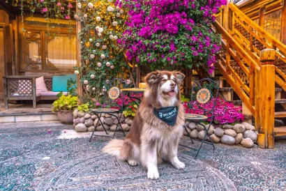 Anyin Private Courtyard (Lijiang Sunshine Courtyard)