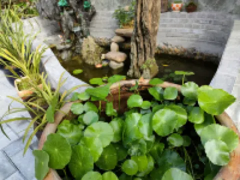 武夷山湛盧緣酒店（印象大紅袍劇場店）