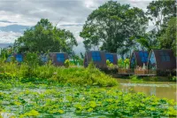 Huayu Hot Spring Homestay Hotels in Yingjiang