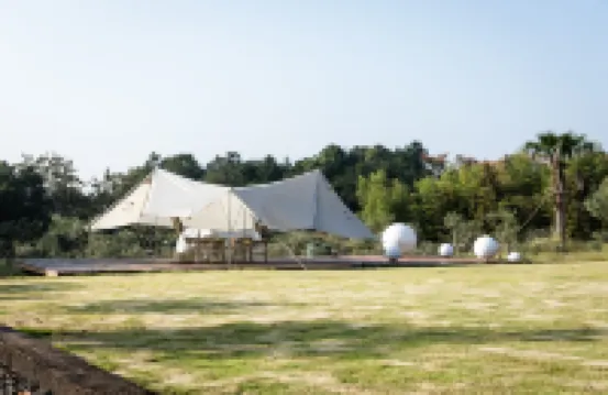 長興阿那度（Anadu）橄欖莊園