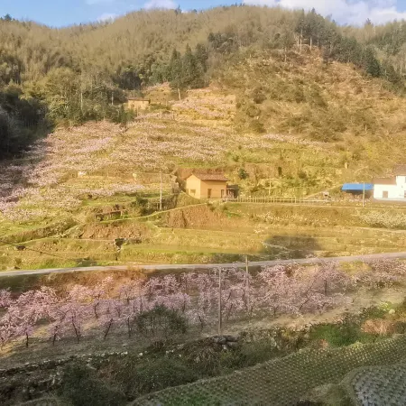 Shennonggu Qingyuan No.11 Homestay