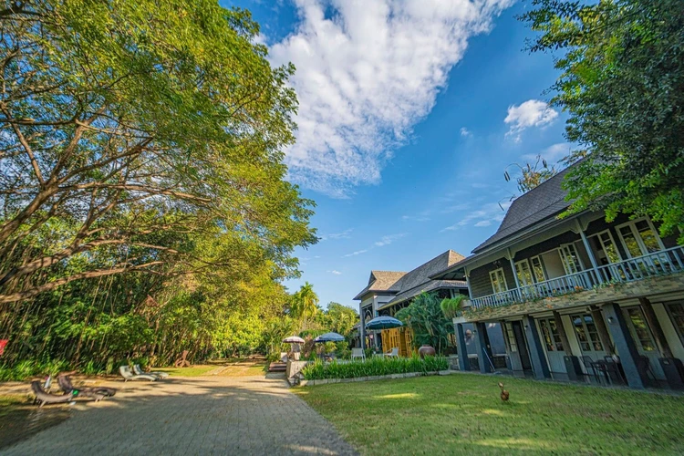 รูปภาพของเฮือนพักบ้านสวน