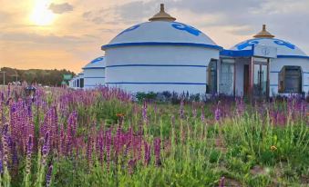Ejin Horo Banner Bulage Grassland Yurt