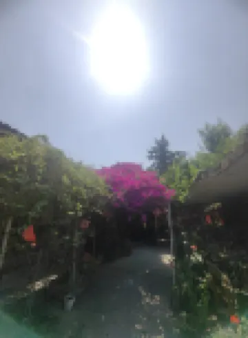 phoenix river view home stay in the water โรงแรมใน