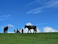 husnxijingshe - Romantic