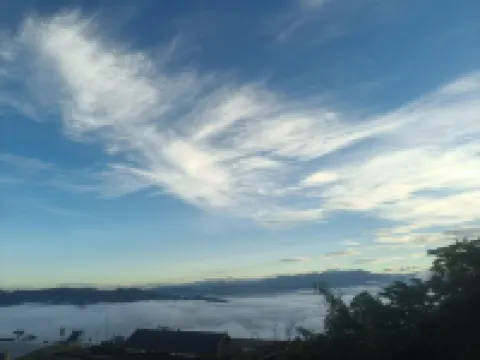 Dreamy Jingmai Homestay (Jingmai Mountain Ancient Tea Forest Branch) Hotels near Mount Jingmai