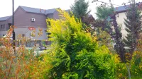 Burqin Museshe Chunjv Homestay