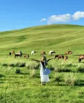 Gesanghua Homestay - romantici