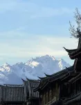 Cloud-Bloom Designer Garden Homestay(Lijiang Old Town South Gate Branch)) - สัตว์เลี้ยง