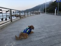 深圳艾特里民宿 - 酒店附近