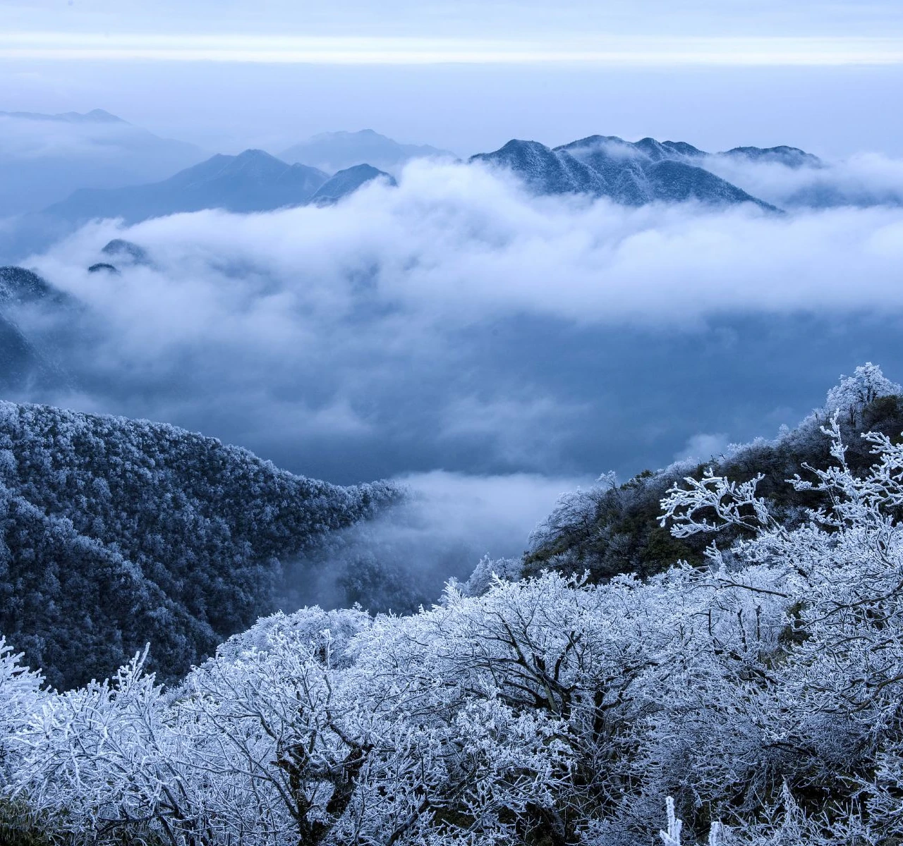 <h1>森林之歌附近住宿飯店推薦</h1>