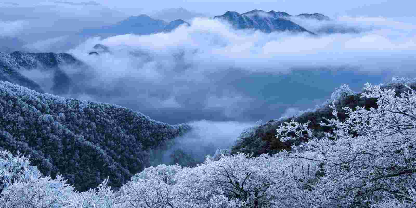 <h1>阿里山森鐵二萬坪站附近住宿飯店推薦</h1>