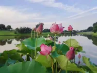 Lejia Cottage Long Rent Apartment Hotel in zona Zhongshan Warship Museum