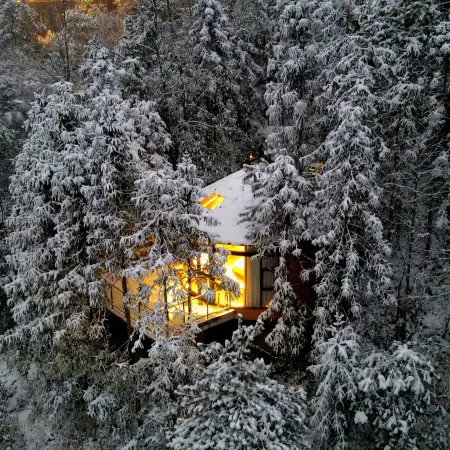 Forest homestay at sunrise