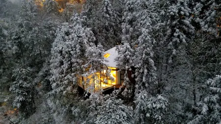 Forest homestay at sunrise Отели рядом с достопримечательностью «Laowuchang»