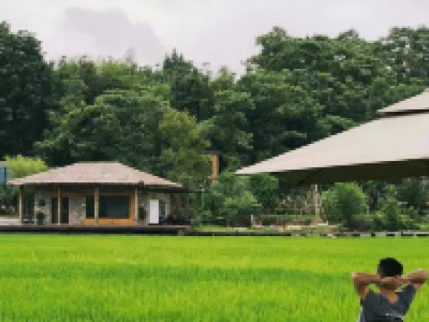 小自然野奢度假村 崇陽酒店