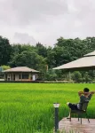 SMALL NATURAL Hotels in Chongyang