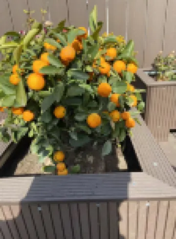 Yitel Collection(Nanjing Qinhuai RIver Branch)