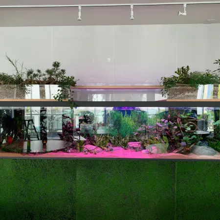 Naha Shintoshin Hotel