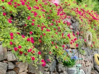 Teacher Baozi の Secret Garden Hot Spring Wild Luxury Holiday Homestay (Deep Blue Plan Store)