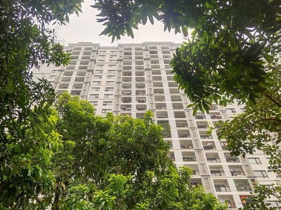 Nws Ha Noi Homes