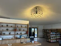 Yimeng Island Camping Hotels in Jingyu County