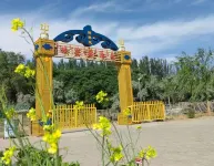 Moji Starry Sky Desert Homestay