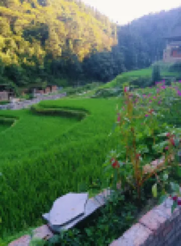 Daoxiang Tianyuan Homestay (Dali Dongzhai Scenic Area)