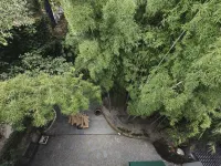 BAMBOO Xiaozhu Courtyard (Taoxichuan Creative Plaza Sculpture Porcelain Factory)