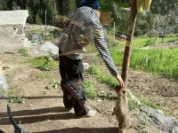 Zha Ga Na Moxiang Valley Homestay - New
