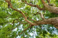 Floral Hotel· Courtyard 8, Gonghou Lane hotel (Guilin Liangjiang Sihu Elephant Trunk Mountain)