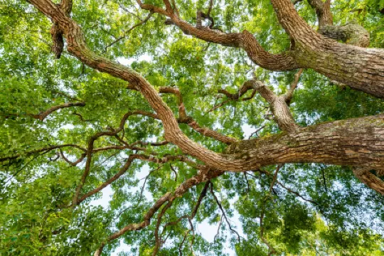 Floral Hotel· Courtyard 8, Gonghou Lane hotel (Guilin Liangjiang Sihu Elephant Trunk Mountain)