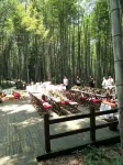 Chongqing Chaochao Farm Stay
