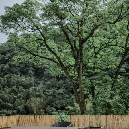 Mount Emei Hetang Nanxi Hotel