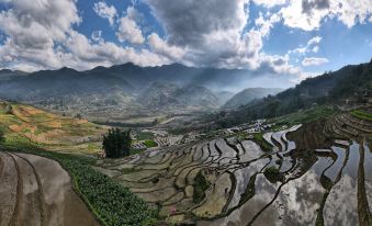 Eco Palms House - Sapa Retreat