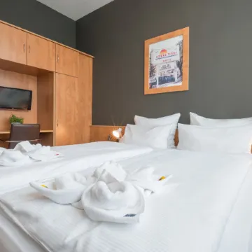 Amedia Express Passau, Trademark Collection by Wyndham