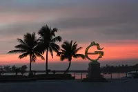 Forum For Asia Gold Coast Hotel - Ocean View