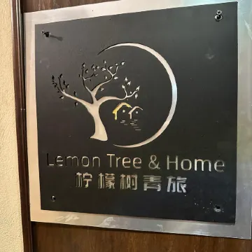 Lemon Tree & Home