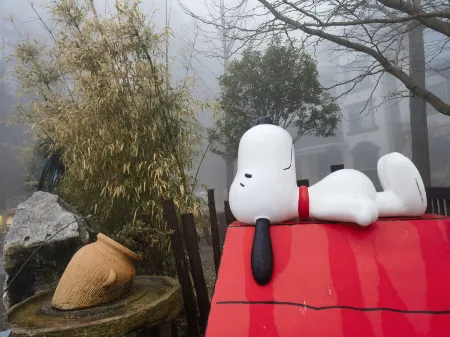 Wandering  Forest  Homestay