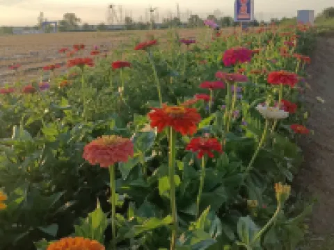 Yitian Park Su Homestay (Moon Village Branch) Các khách sạn ở Mori