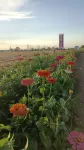 Yitian Park Su Homestay (Moon Village Branch)