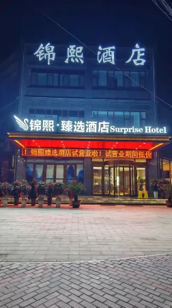 Lintao Jinxi Zhenxuan Hotel