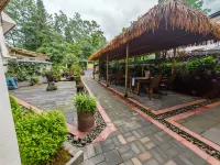 Dove Tree Inn (Yingjing Longcanggou National Forest Park) Hotels in Yingjing