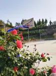 Wangxixiang Yaodong Featured Homestay