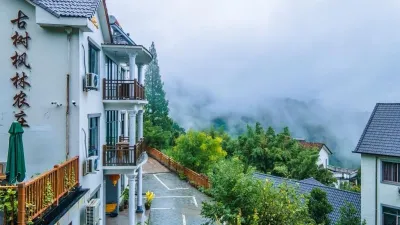 Hangzhou Linan Old Maple Tree Valley-view Hostel Hotels in Linan Taihuyuan Scenic Area