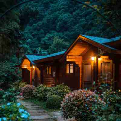 柿子紅了·老柿林丹湫谷民宿(餘姚四明山店) Rooms