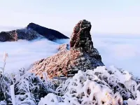 金猴山莊（梵凈山景區東門店）