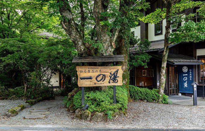 Sengokuhara Shinanoki Ichinoyu