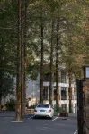 Wu Shan Boutique bed and breakfast