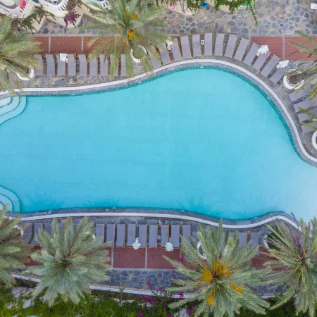 Flamingo Hotel & Spa - Pet Friendly